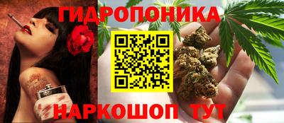 трава Кандалакша