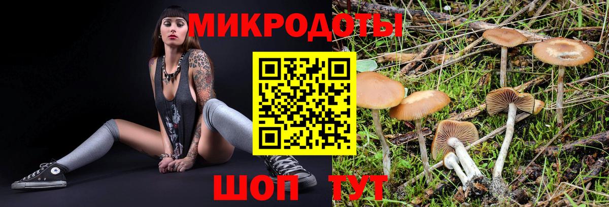 наркошоп  Галлюциногенные грибы GOLDEN TEACHER  Вход с VPN  Лесной 